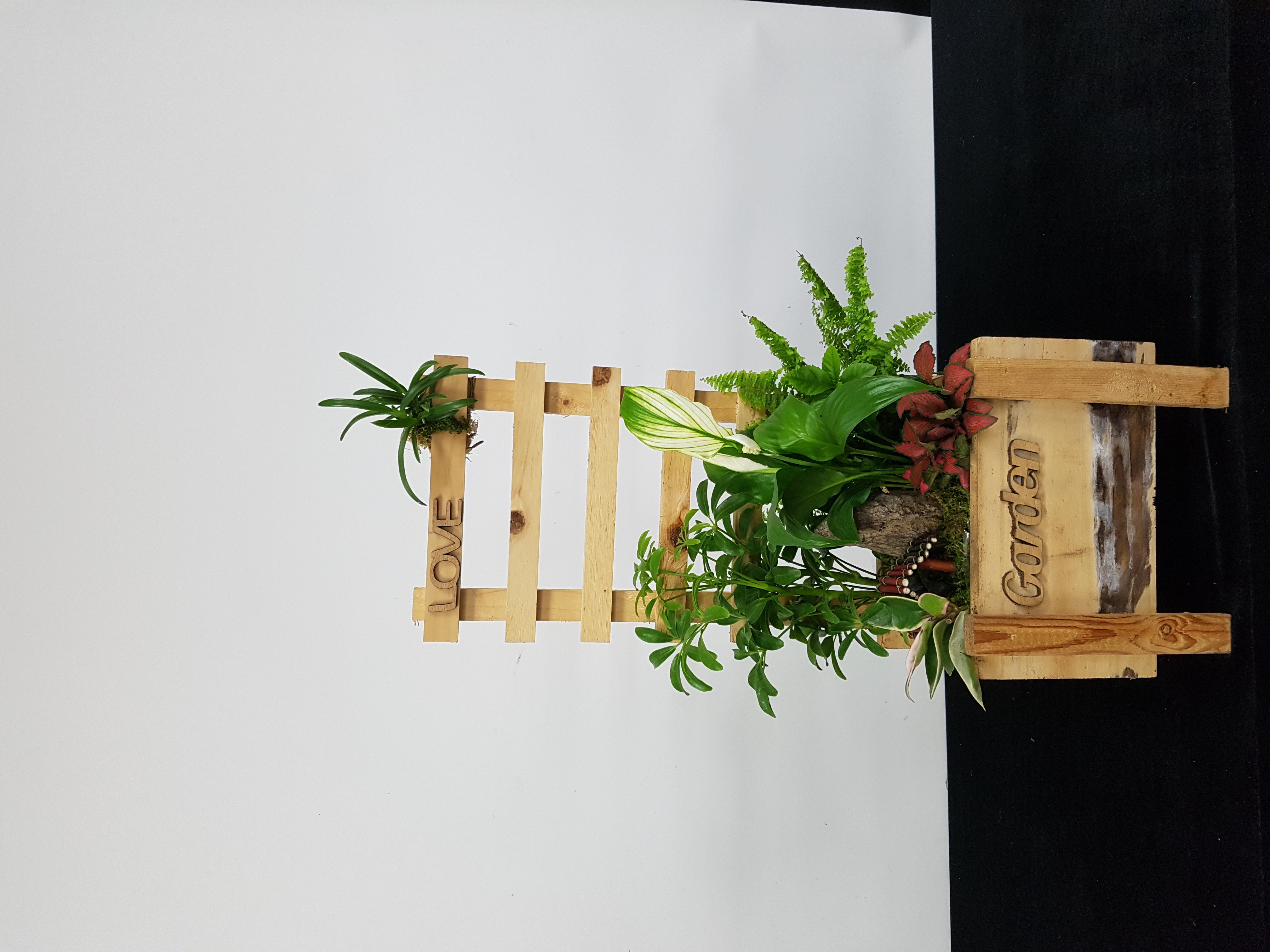 사용자 등록 이미지